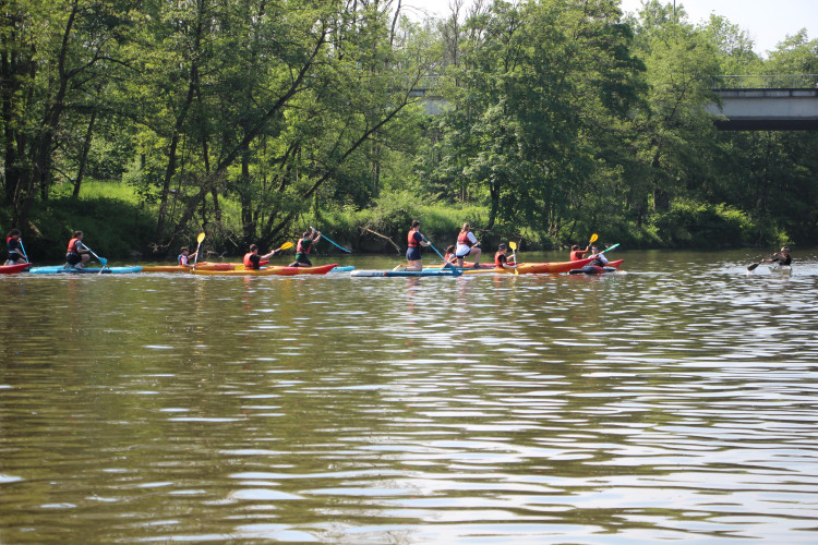 Royal Mava Club Sauheid